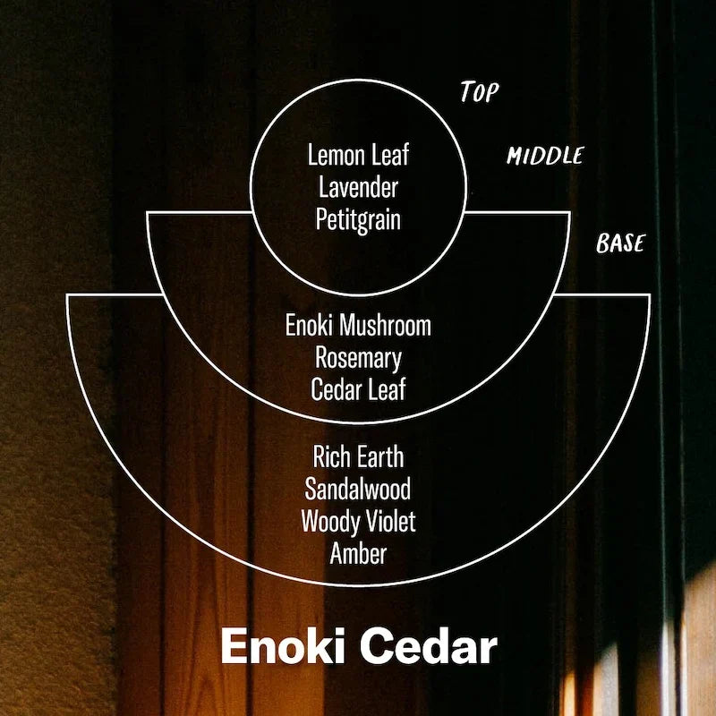 P. F. Candle Co. Enoki Cedar Alchemy Candle