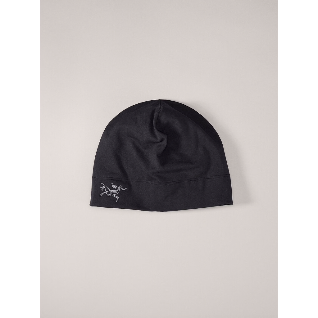 Arc'teryx Rho Toque