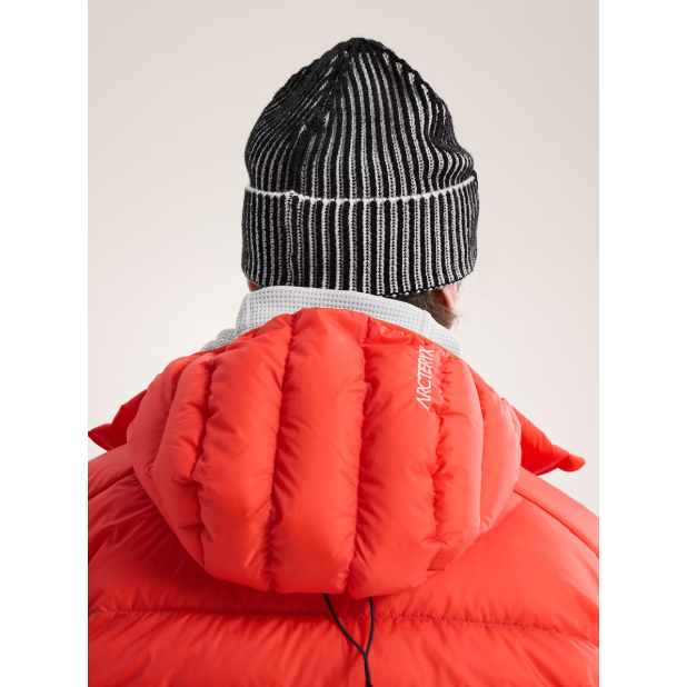 Arc'teryx Ribbed Toque